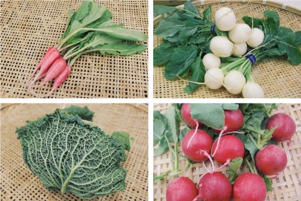东日本大震灾からもうすぐ丸4年……被灾地宫城県の野菜を全国へ広める「みやベジ」プロジェクト