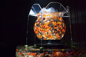 この夏は江戸の风情をしのびドリンク片手にアクアリウム