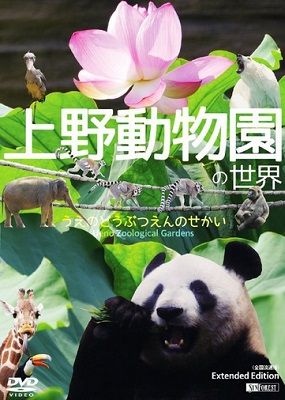 动物园