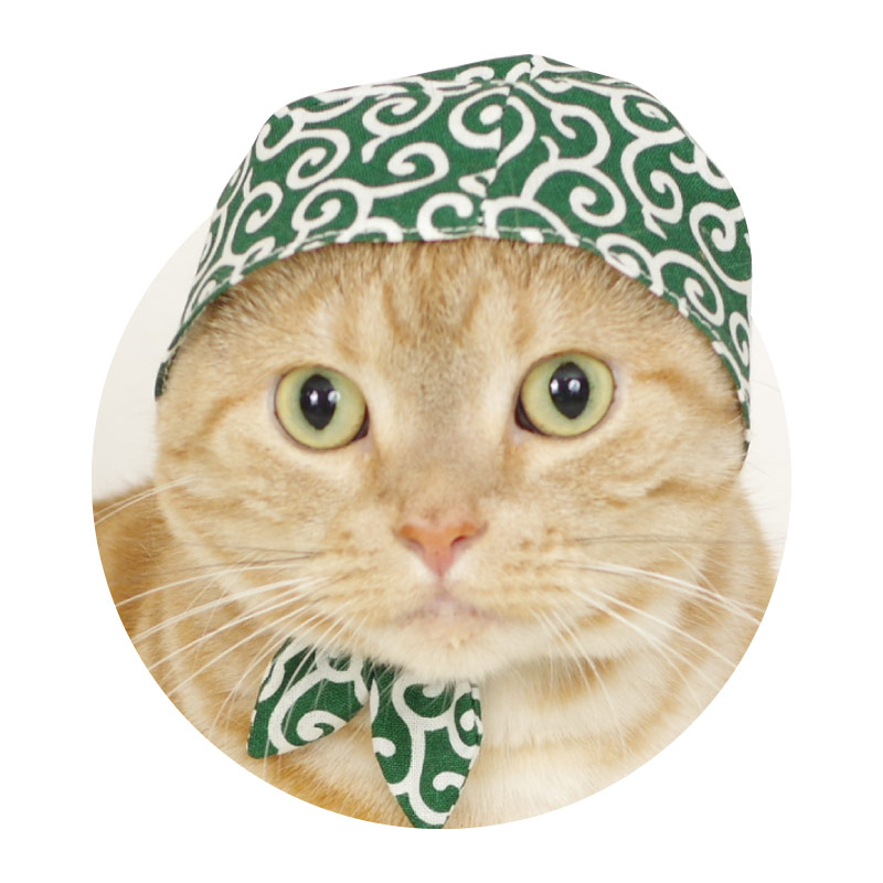 包头巾的猫咪真可爱！ 猫咪的小偷形象让人心动不已的新扭蛋“可爱 可爱 猫小偷”已经登场♪