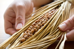 纳豆の意外な効果！ダイエットとアンチエイジングに役立つ高ポリミアン食