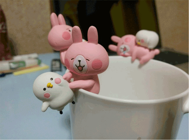 兔 小鸡