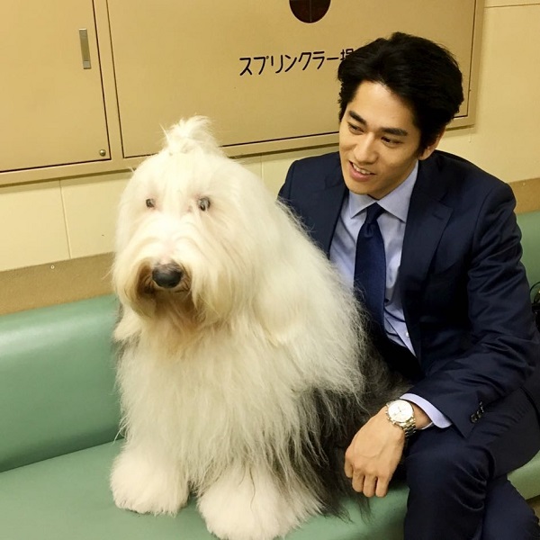 牧羊犬多洛洛与演员