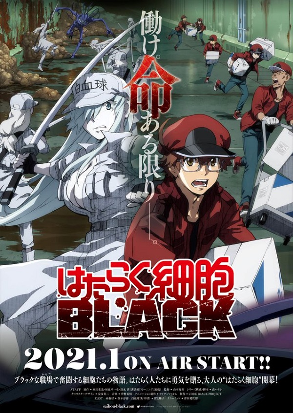 《工作细胞BLACK》