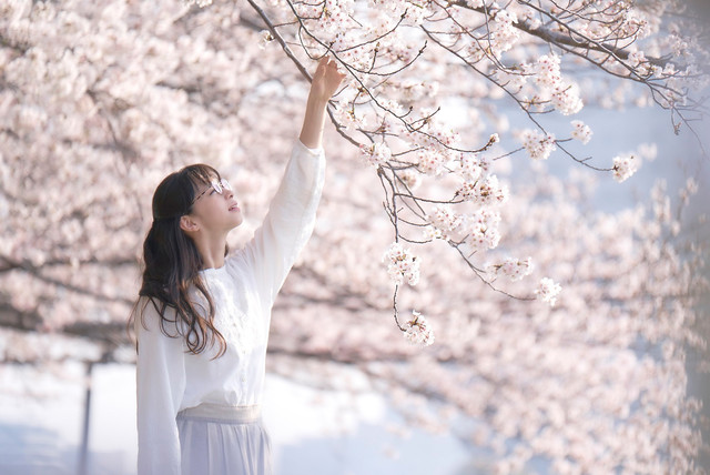 女主角平井美雪由中条彩未饰演