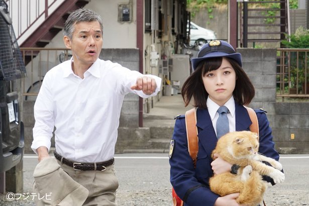 猫日剧-警视厅生物系