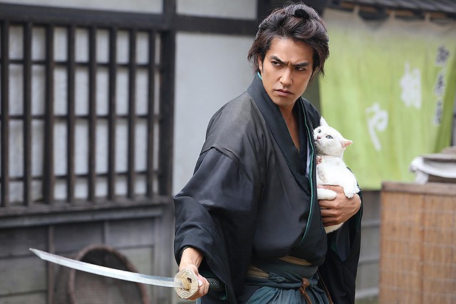猫日剧-猫侍